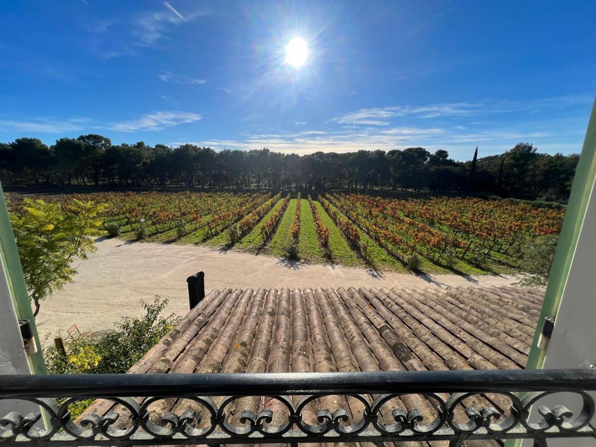Unique Dans Le Domaine De La Sangliere *